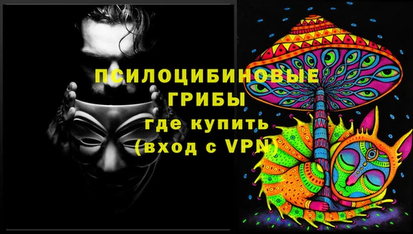 ПСИЛОЦИБИНОВЫЕ ГРИБЫ Медвежьегорск