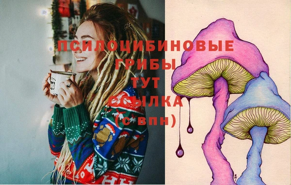 тгк Михайлов