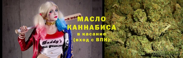 тгк Михайлов