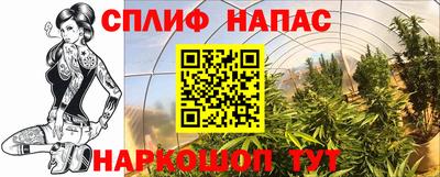 шишки Рязань