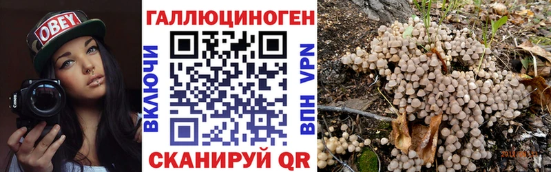 Галлюциногенные грибы Psilocybine cubensis где купить наркоту Надым