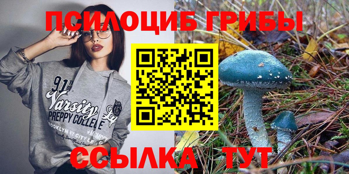 Галлюциногенные грибы GOLDEN TEACHER  Галлюциногенные грибы ЛСД  цена наркотик  Вход с VPN  Надым 